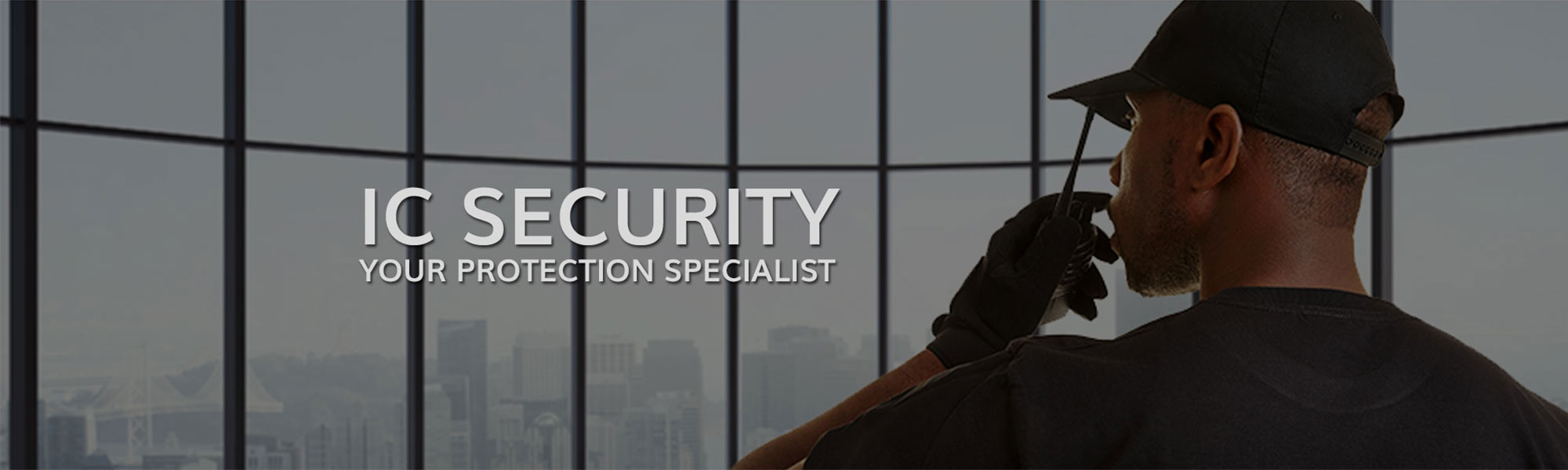 IC Security Protection Specialist